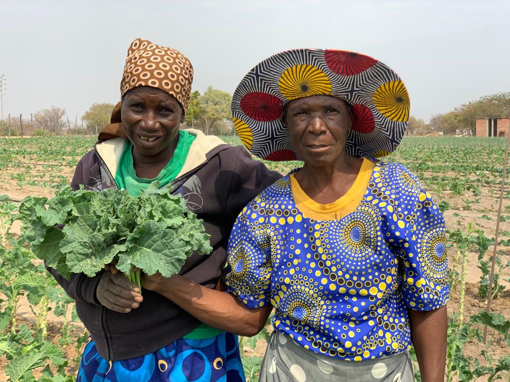#WeTheFuture: Residents of Ward 2 Diba in Plumtree are looking for marketing opportunities to sell their farm produce. Men and women who have been growing vegetables at Mgandane community garden have stated that all profits from the garden will be used to contribute to the