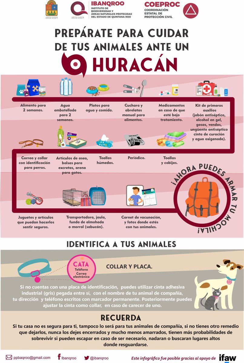 IBANQROO tweet media