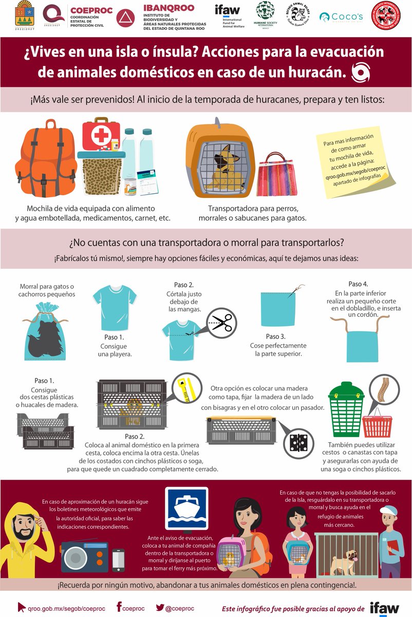 IBANQROO tweet media