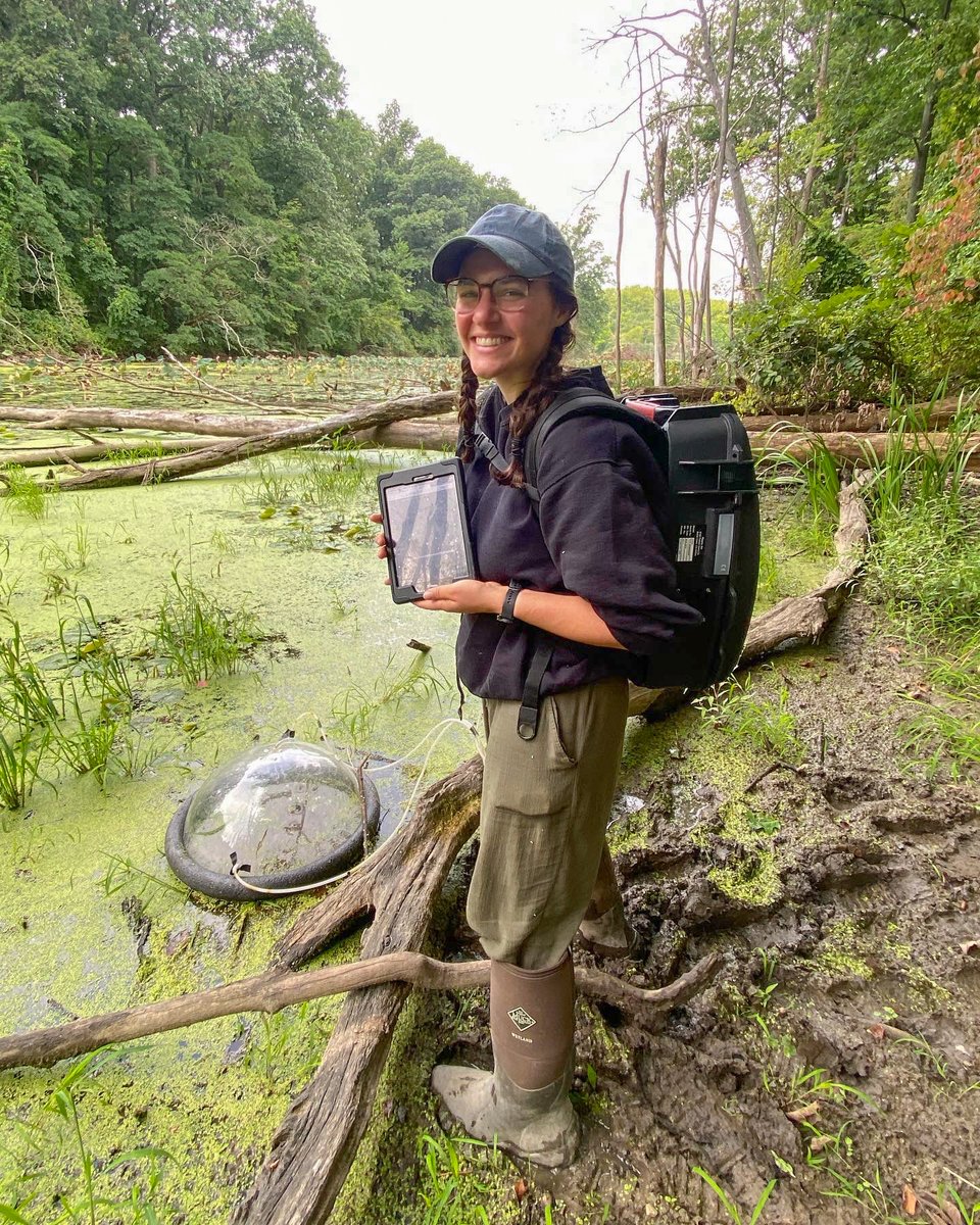 sunyesf's tweet photo. More college rankings dropped this week and showed why we're the mightiest planet protectors around🌎 ESF was named one of the top environmentally conscious schools and one of the best colleges in the Northeast by @ThePrincetonRev!  https://t.co/PvOiZXjjap https://t.co/xWfhZBlm4a