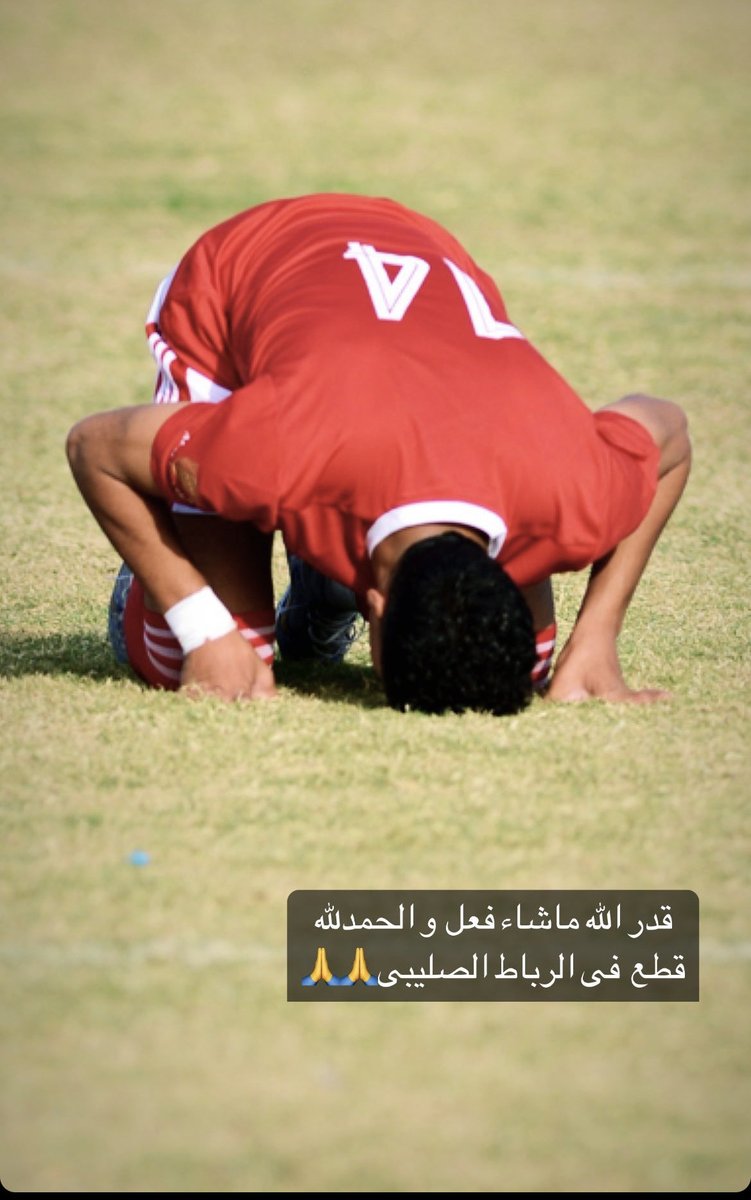sayed moawad tweet media