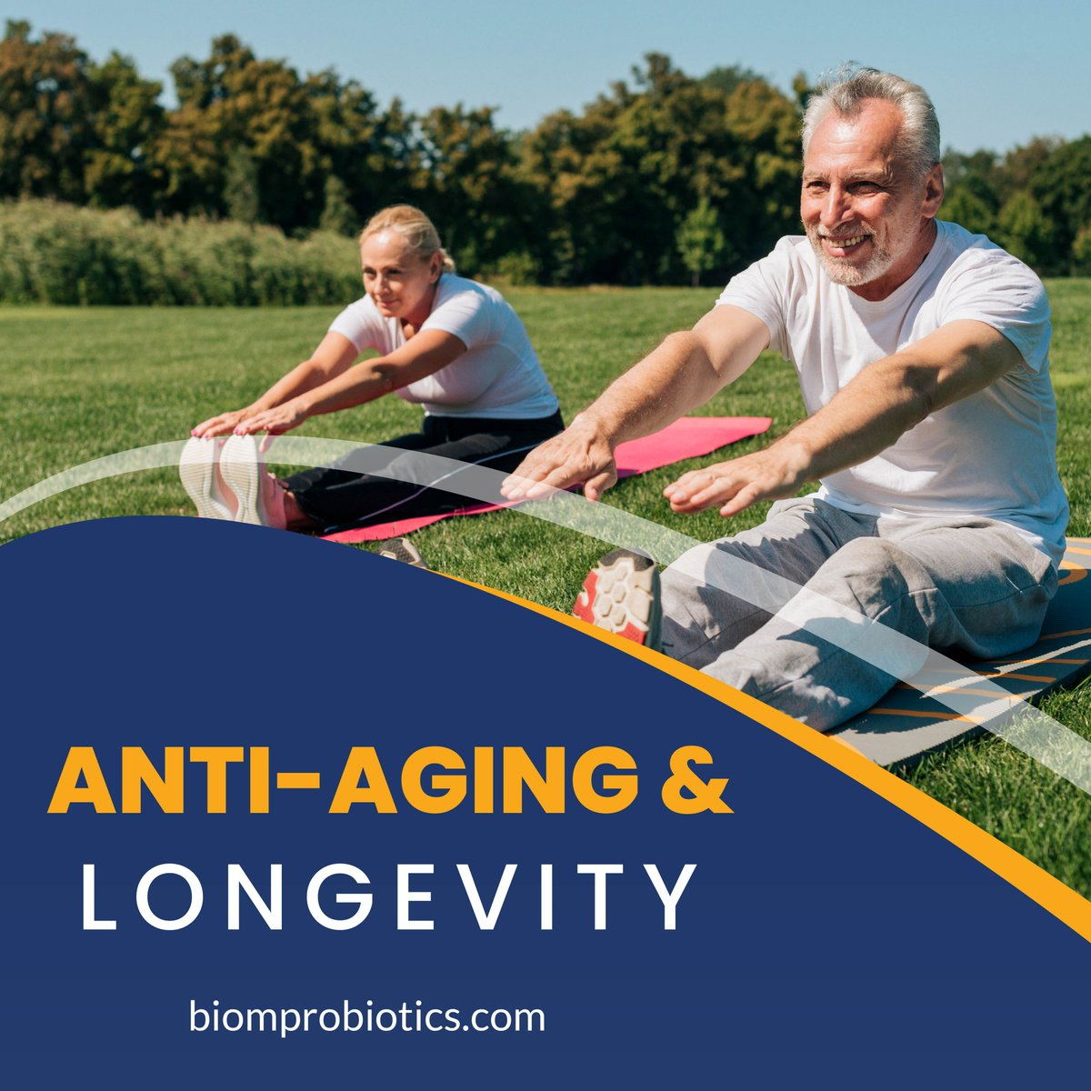 NMN is a precursor to NAD+, a crucial molecule for cellular energy production and DNA repair, while Pterostilbene, a compound found in blueberries, supports cognitive function and cardiovascular health.

Buy: bit.ly/3EJC4KW 

#biomprobiotics #biomnmn #biom #wellness
