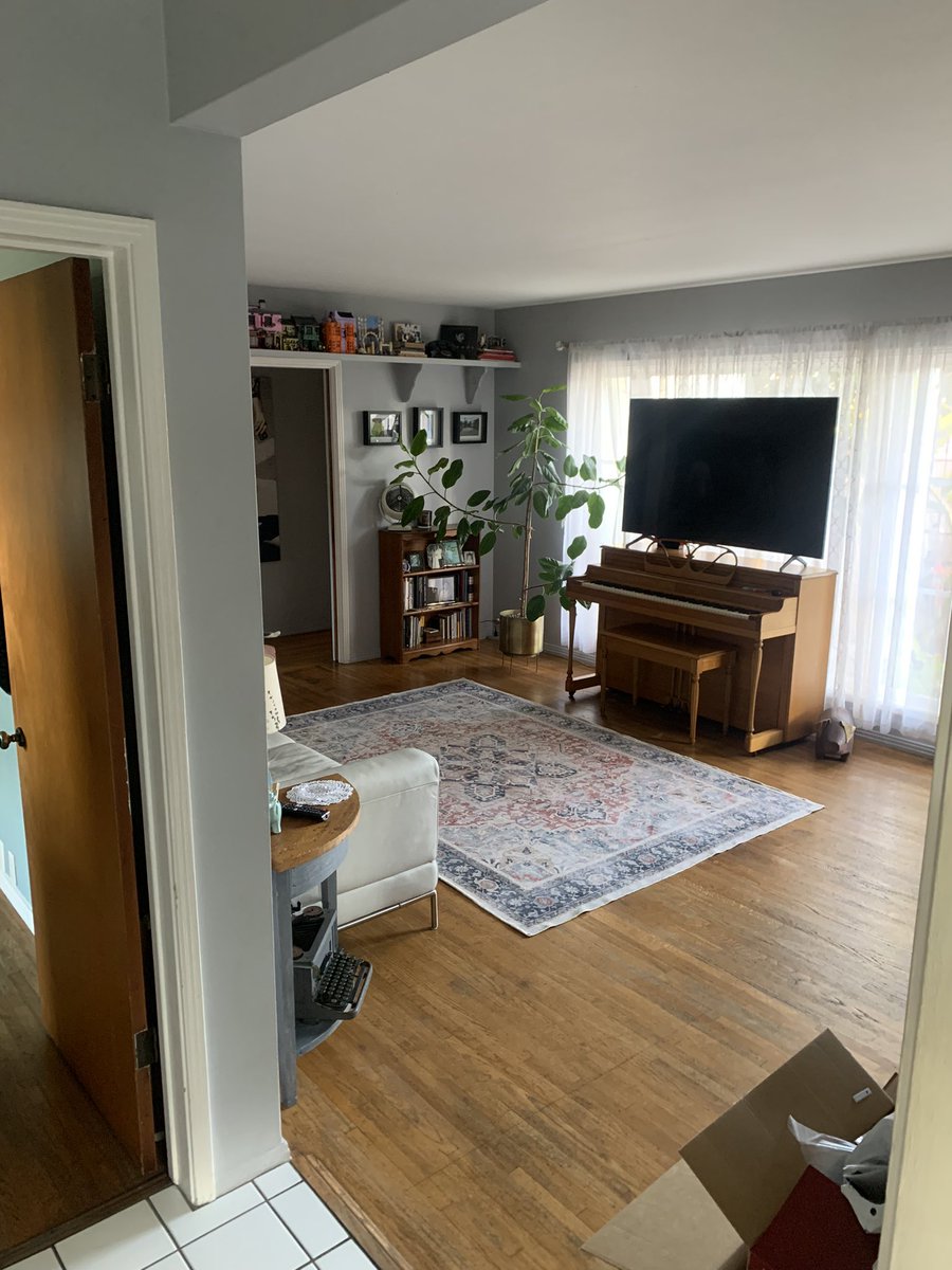 There is no cat in this image tweet media