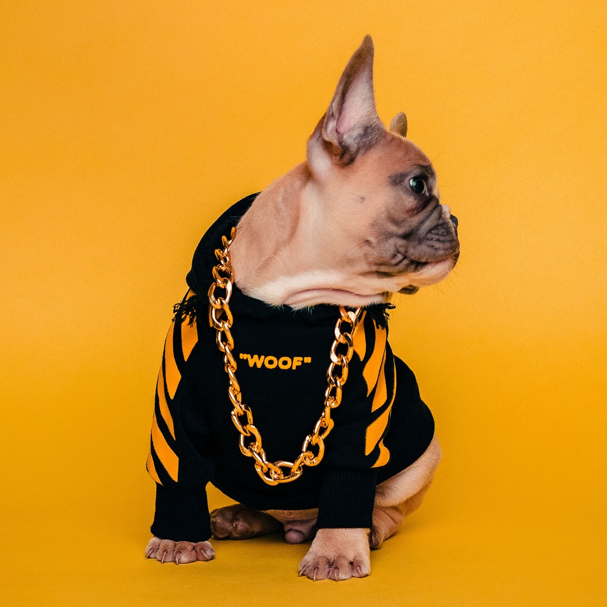 ZIPS Cleaners tweet media