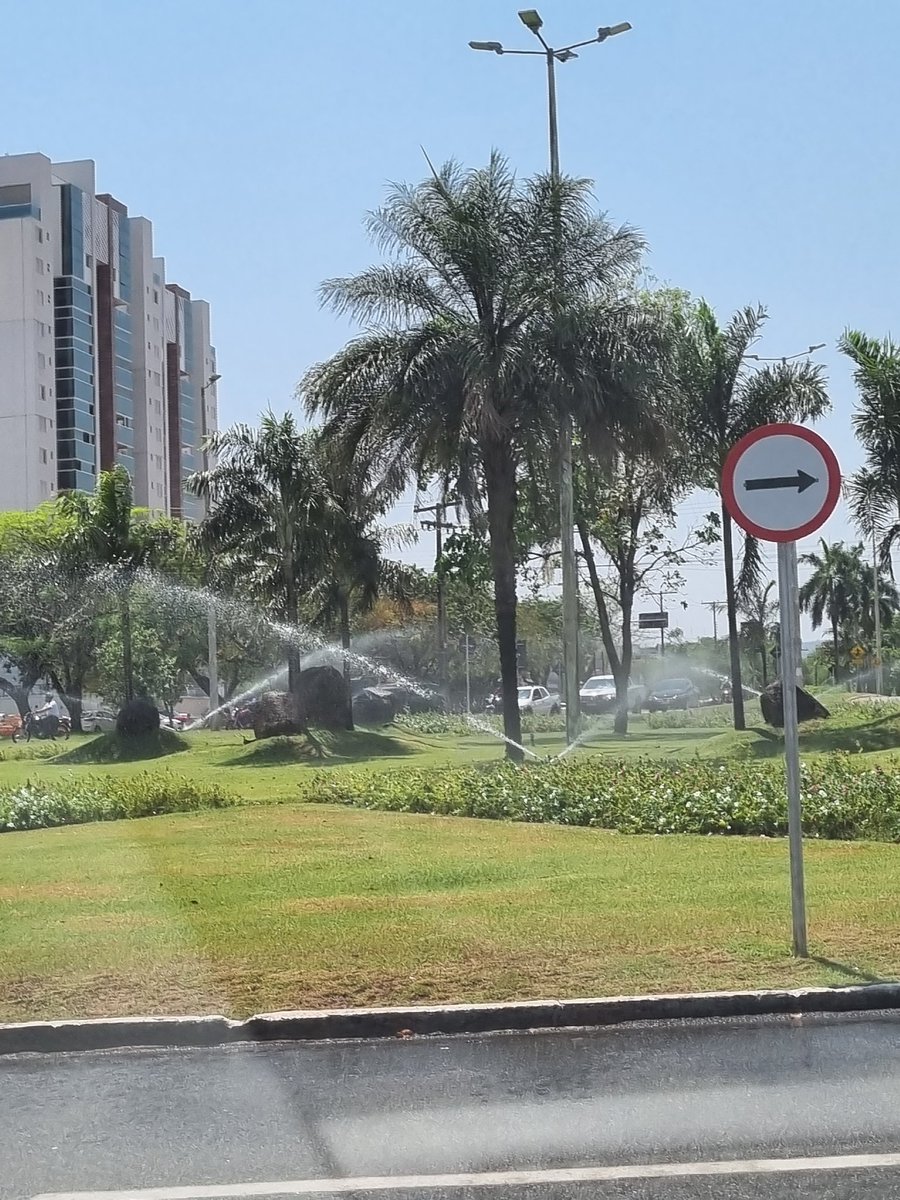 AgnolF's tweet photo. Para os dias quentes que enfrentamos, nos dá melhor sensação e maior conforto térmico ver muitas árvores, plantas e irrigação por toda cidade! https://t.co/ApV4uiLeZ9