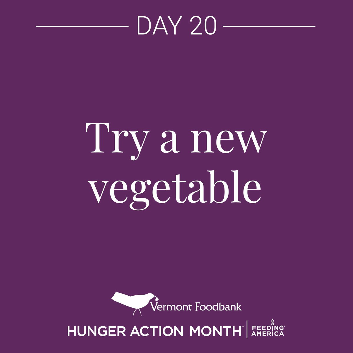 VermontFoodbank's tweet photo. 🥬 Embrace new flavors! Try a local vegetable and support both your health and the community. #NourishingChoices #LocalFlavors https://t.co/nxWLT23qqP