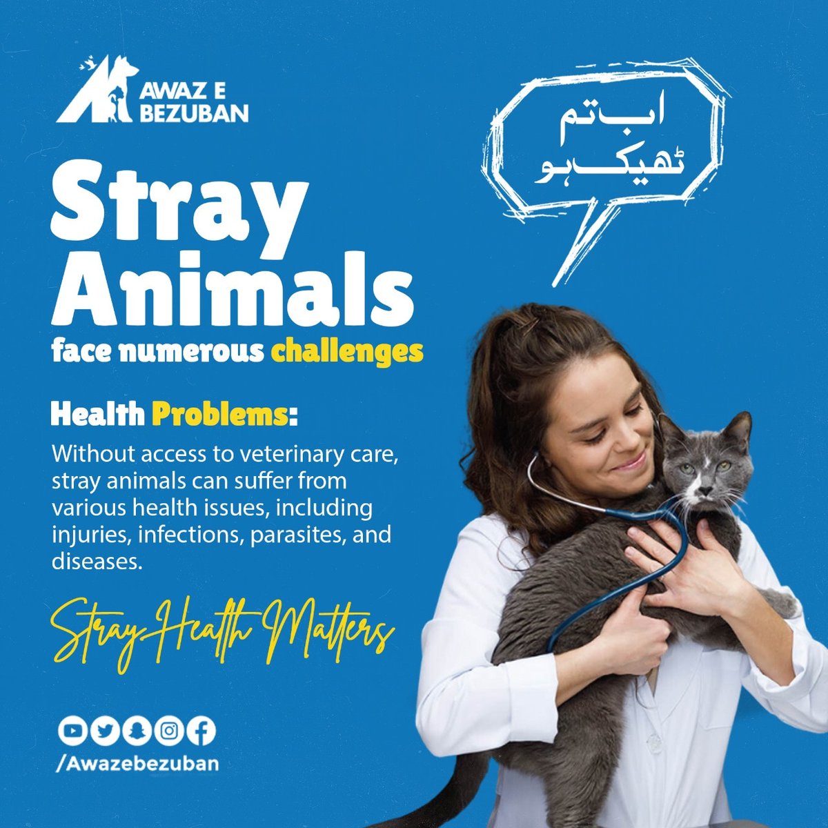 🐾 Stray animals silently battle health woes daily. Injuries, infections, parasites, and diseases take their toll without access to medical care. Together, let's be their voice and ensure they receive the care they desperately need. 🐕🐈🏥❤️

 #healingpaws #AnimalHealthMatter