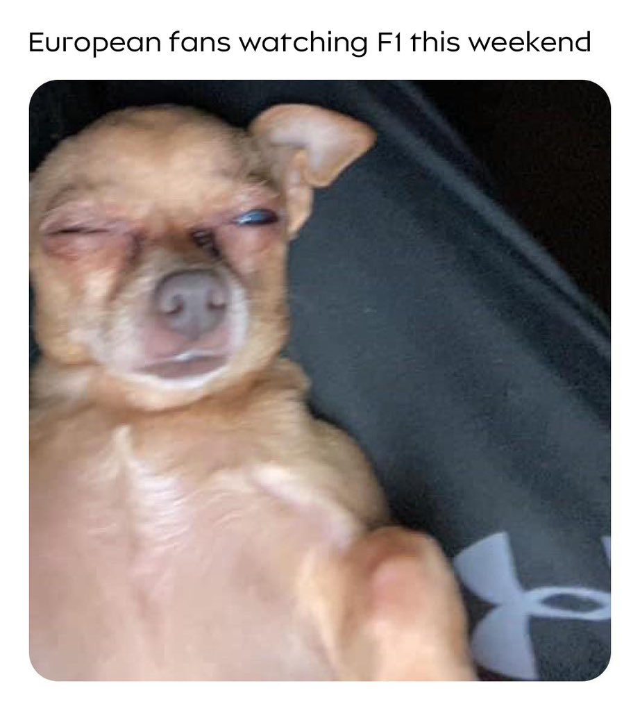 Thinking of all our friends back in Europe 💙

#Alpine #JapaneseGP