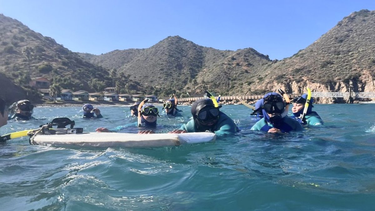 Happy Wednesday! 🎉 Thank you Our Lady of Grace School, @olglions, for tagging us in a post 📸 about their 7th grade class trip ⛴️ to CIMI! We hope you all had a wonderful time on Catalina! 🏝️ #CIMI_Science #Repost_Wednesday #olglions_Class_Trip #Outdoor_Education #Fall_2023