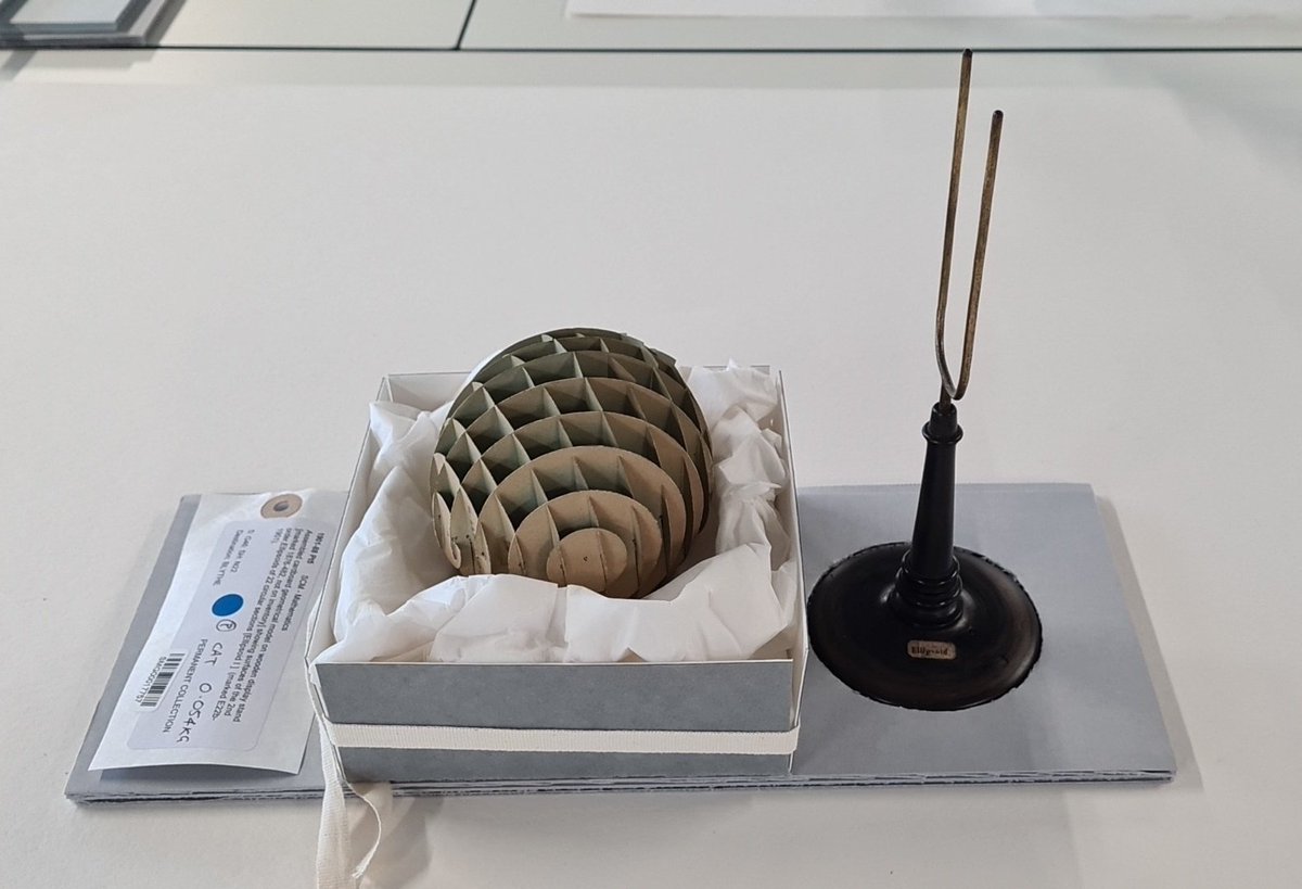 I love my job! Making new housings for these paper mathematical models. They have no right to be this darn cute!! #conservation <a href="/SMGConservation/">SMG Conservation</a>