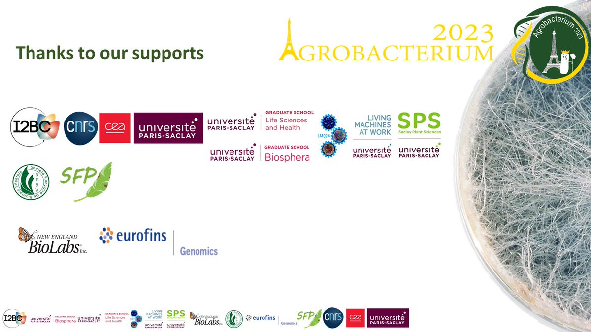 Thank you to all our sponsors for sponsoring the event <a href="/I2BCParisSaclay/">I2BC Paris-Saclay</a> <a href="/SPS_Plant_Sci/">Saclay Plant Sciences (SPS)</a> <a href="/SfbvFr/">SFBV_fr</a> <a href="/LivingMachinesW/">LivingMachines@Work</a> <a href="/SFP_France/">Société Française de Phytopathologie</a> <a href="/NEBiolabs/">New England Biolabs</a> <a href="/EurofinGenomics/">Eurofins Genomics</a>