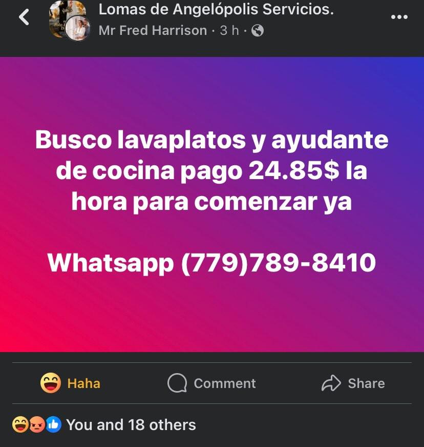 TerrorRestMX tweet picture