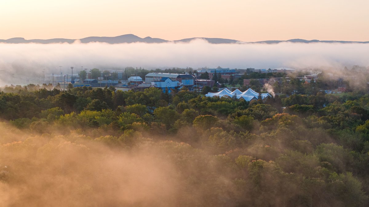University of Maine tweet media