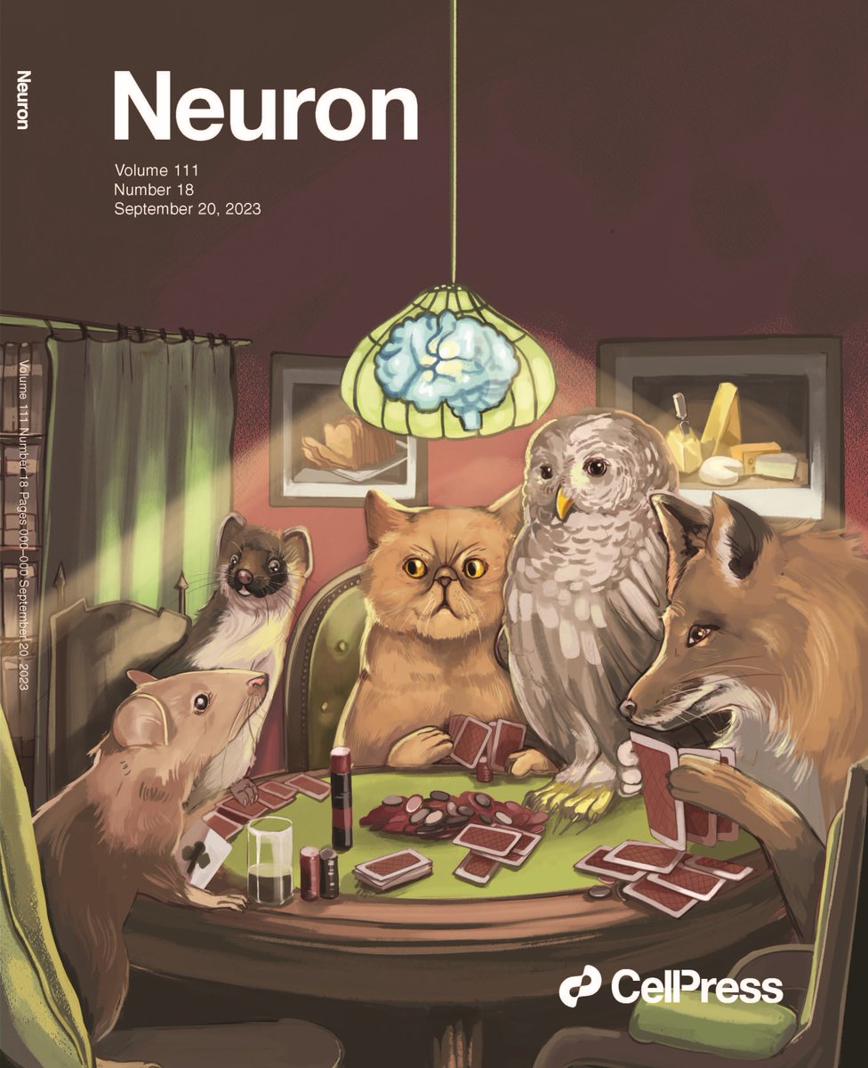 Neuron (@neurocellpress) on Twitter photo Check out latest issue cell.com/neuron/current
The cover illustrates de Araujo Salgado & coll.'s study examining the behaviors used by animals seeking food under predation threat.
Artwork by Erina He <a href="/NIHMedicalArts/">NIH Medical Arts</a>
Paper is here: cell.com/neuron/fulltex… Check out latest issue cell.com/neuron/current
The cover illustrates de Araujo Salgado & coll.'s study examining the behaviors used by animals seeking food under predation threat.
Artwork by Erina He <a href="/NIHMedicalArts/">NIH Medical Arts</a>
Paper is here: cell.com/neuron/fulltex…