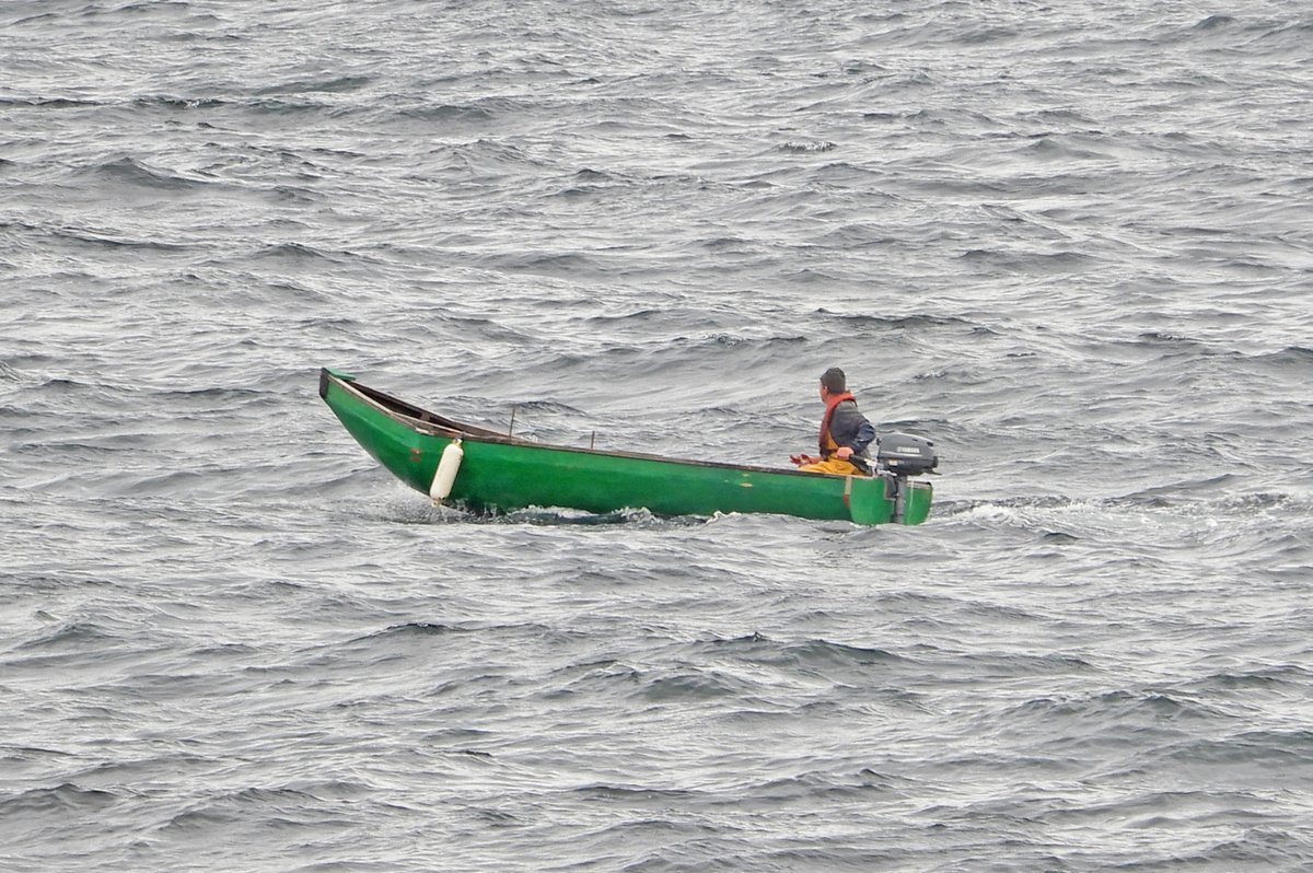 Join a NMI-Country Life curator, for an online talk exploring his work developing a gallery dedicated to traditional Irish boats of the Atlantic coast at 1pm on Thurs 28th Sept. Registration required
#MartimeHistory #Tradition #BoatHistory #irishboats
museum.ie/en-IE/Museums/…