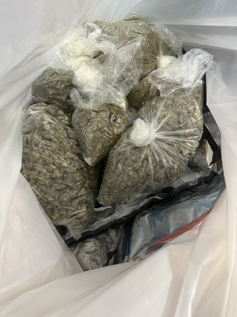 NYS Assembly Member John Zaccaro Jr tweet media