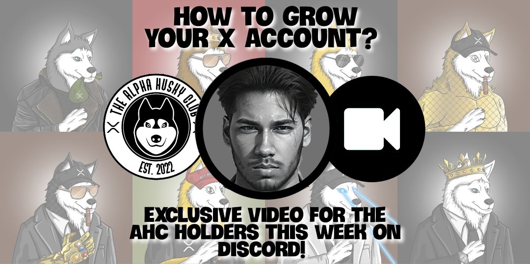 AlphaHuskyClub's tweet photo. How to grow your X account? 🤔 📈

Exclusive video content posted in the 'Education Center' only for the Alpha Husky NFT holders!

#AlphaHuskyClub 🐺🧠🤝 https://t.co/SbghfYVBta