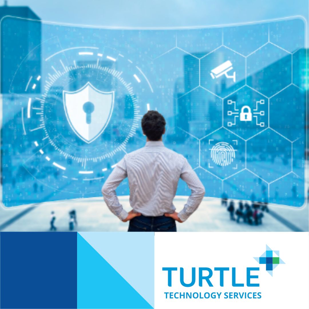 Turtle tweet media