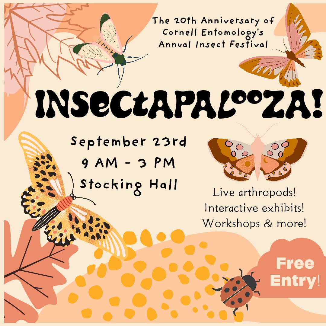 Insectapalooza is THIS SATURDAY, September 23rd! We’re excited to see you all at the Cornell Dairy Bar (411 Tower Rd, Stocking Hall, Ithaca, NY 14853) for live arthropods, interactive exhibits, and workshops! 🪲

#entomology #insects #science #outreach #education #cornell