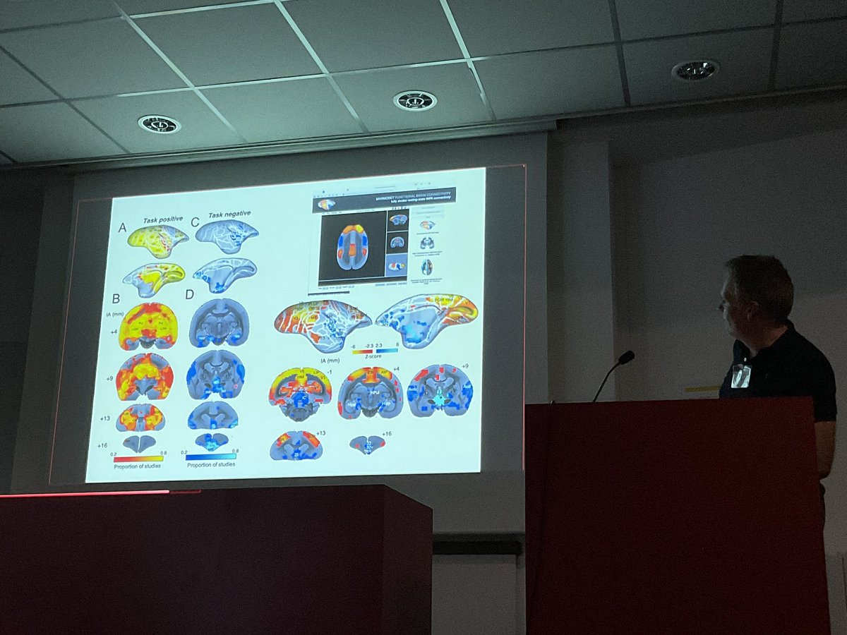 katjaQheuer's tweet photo. The marmoset DMN identified by deactivations in task-based fMRI studies - great talk by Stefan Everling. They are so relaxed - to not have the little fellas fall asleep, they get a little reward after a few runs ๐ฅฐ
#compMRI @R3RT0 @NeuroecologyLab @AssafLab https://t.co/bDJ60i2OQW
