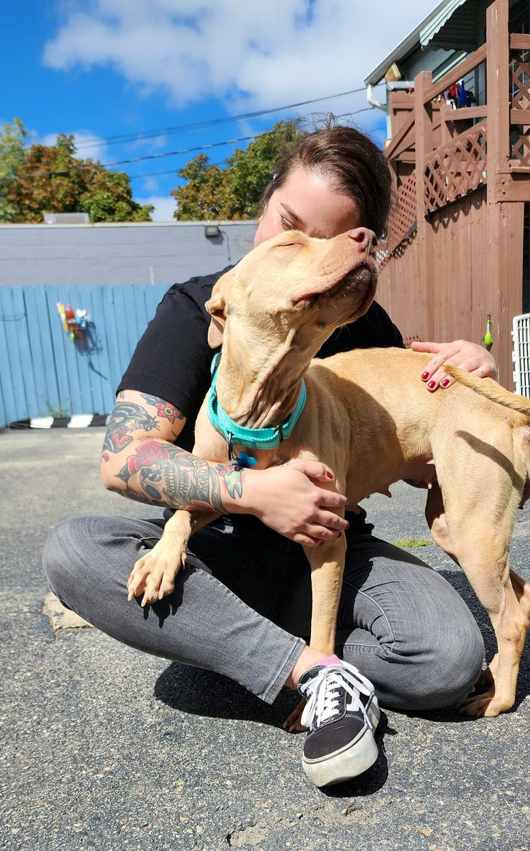 onetailatatime's tweet photo. DOG FOSTER OPEN HOUSE!
-Saturday, Sep 30th from 12-3pm
-Brian &amp; Sheri Qualizza Center (2450 N Western Ave)
-Learn about our program, sign up and take our brief orientation on site
-Meet dogs that may be a good fit for your home
-Leave with a foster dog and all their supplies https://t.co/fICUqMmtFI