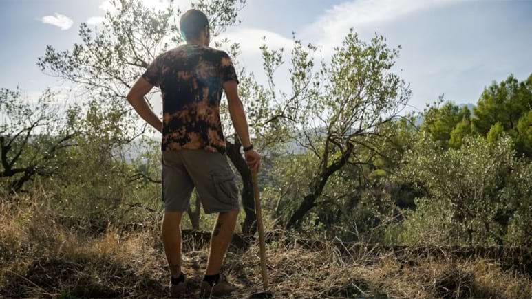 diba's tweet image. 🚜#Sabiesque a la província tenim més de 55.000 hectàrees de terres recuperables per a conreus? Això representa el 8,1% de la superfície no urbanitzada de les comarques barcelonines. Ho recull el darrer tastet de dades de #BcnSmartRural #som311 #ODSDiba

✅bit.ly/tastet-dades-c…