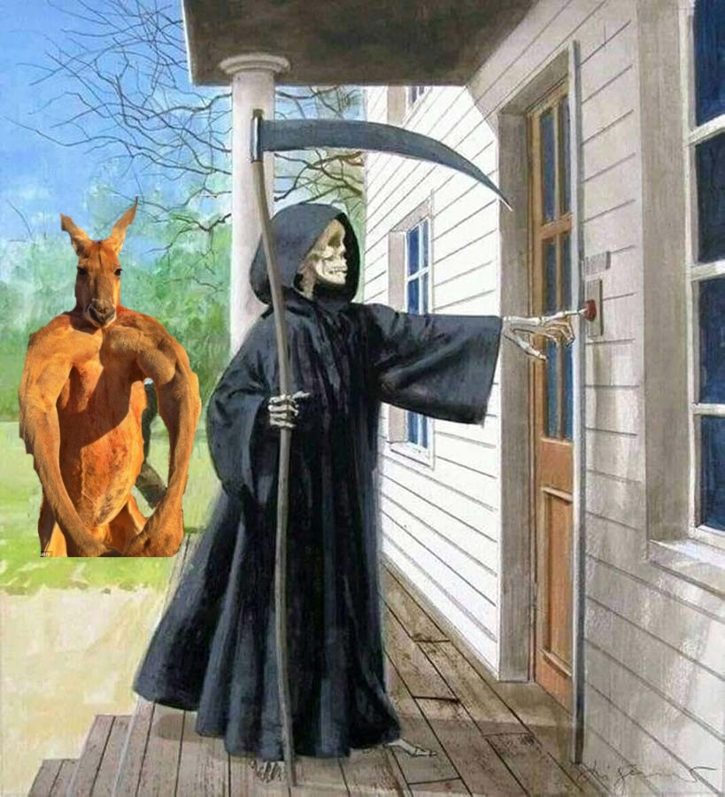 ROGER TOKEN tweet media