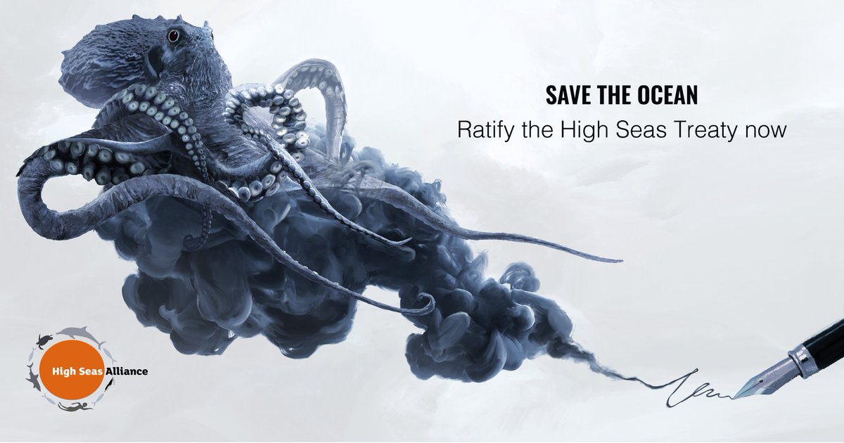 ReefsHighSeas's tweet photo. The #RaceForRatification is on!

For the #HighSeasTreaty to enter into force and become international law, it must be signed and ratified by at least 60 countries. 

Follow progress on the NEW #HighSeas Treaty Ratification Tracker: https://t.co/79yo0IUViX https://t.co/MONXfC6iCM