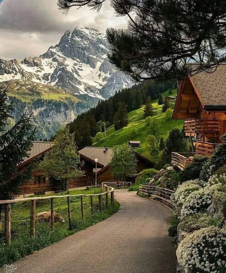 Switzerland 🇨🇭