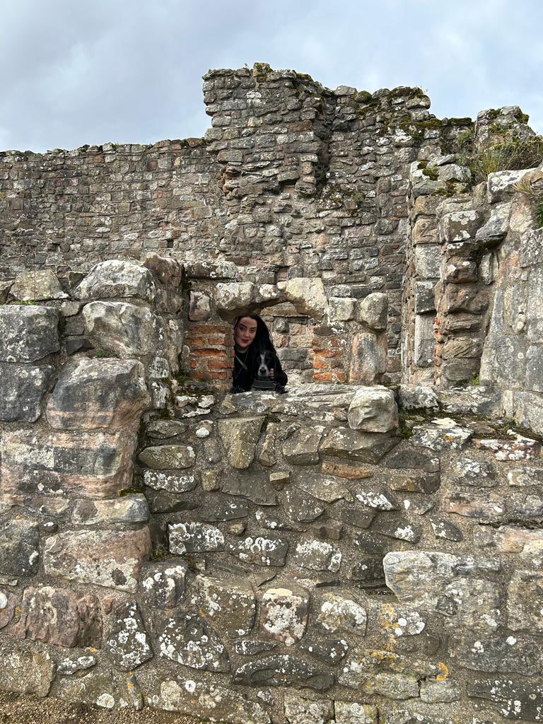 Victoria3Bandy's tweet photo. Lindisfarne ⛪️🐶🌊🥰🙏🏻 https://t.co/qDjCcb2Qw2