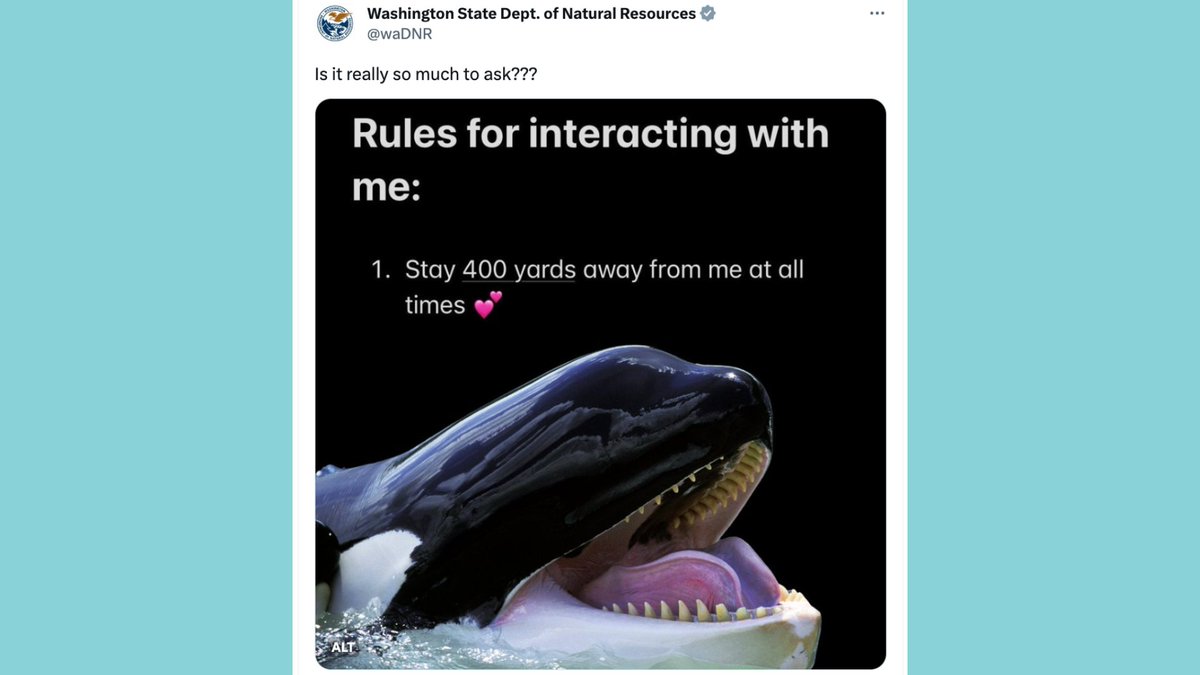 SierraClub's tweet photo. The social media team at @waDNR has joined a growing club of environmental and public-lands agencies that have found their niche on social media. https://t.co/mlU0dRgTcA

@EmilyDriehaus https://t.co/jhacOAkqtM