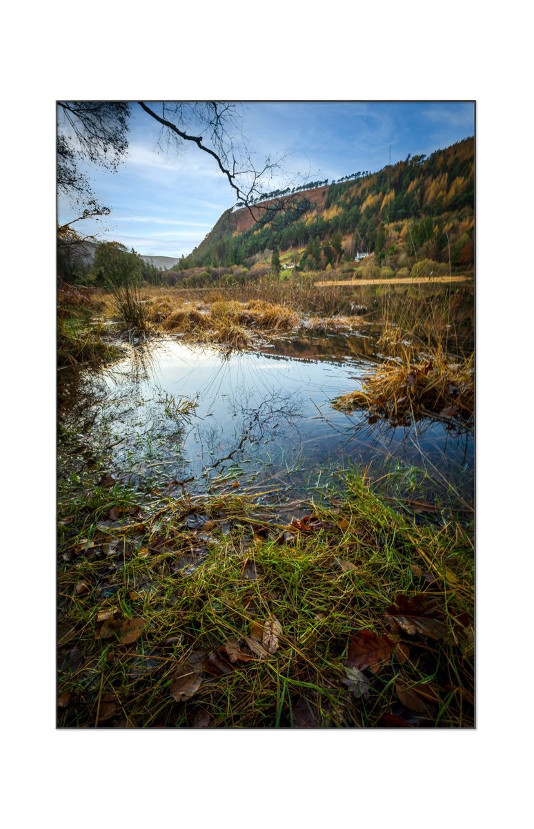 fotofactoryie's tweet photo. Add a touch of wilderness to your decor and let your walls come to life 🌲🏞️ #naturewallart #homedecor #naturelover #wilderness #mountainviews #woodlandwalks #artprints"

-------------
'Into the Wilds'

https://t.co/zTo08kXuSg https://t.co/8shfxMg8im
