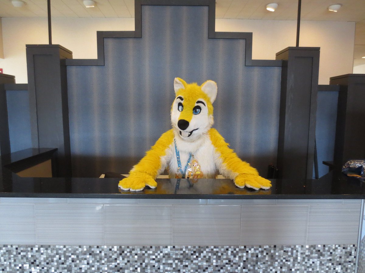 Welcome to the furry fandom   how can i help u?