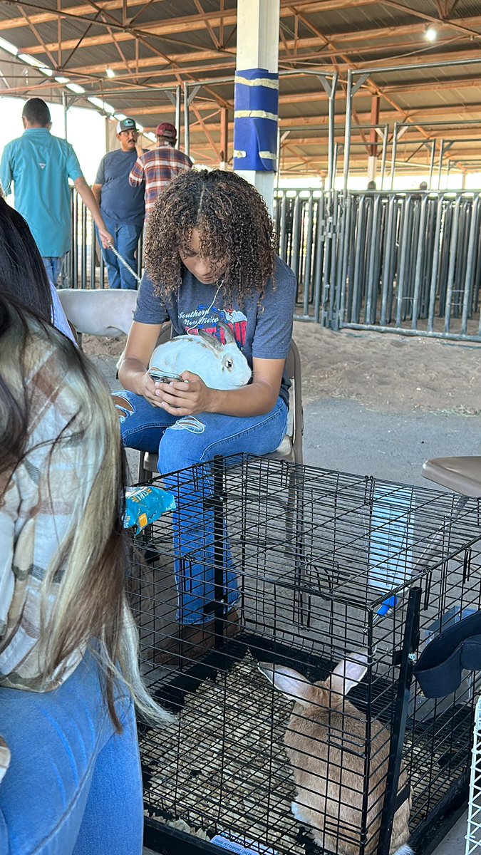 Eastlake FFA  #fairday #aglife @Eastlake_HS @teamsisd @Desigo13 @GThomas_SEC