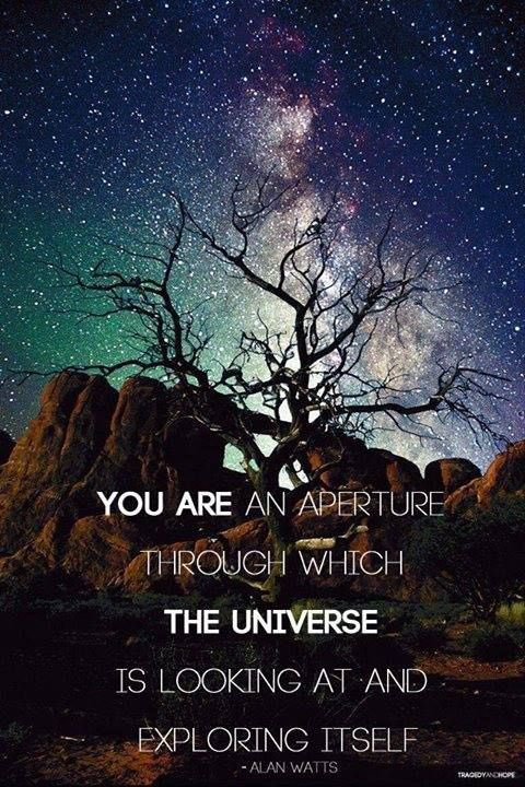 consciouscllctv's tweet photo. #alanwatts #universe #spiritualawakening https://t.co/vYxxrgLEpT