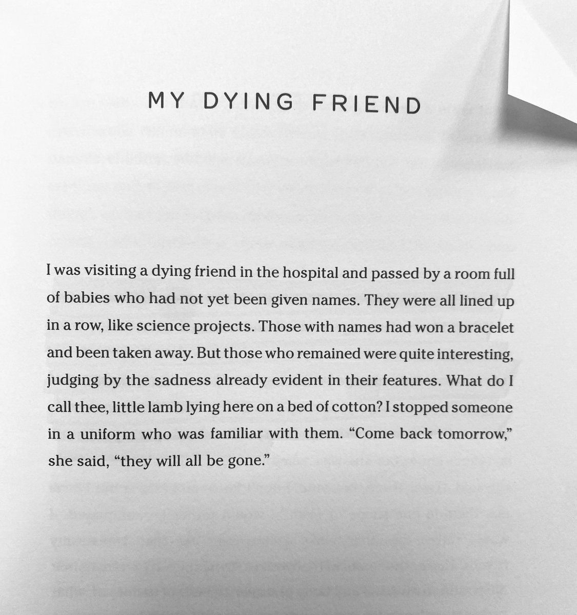 Alina Stefanescu tweet media