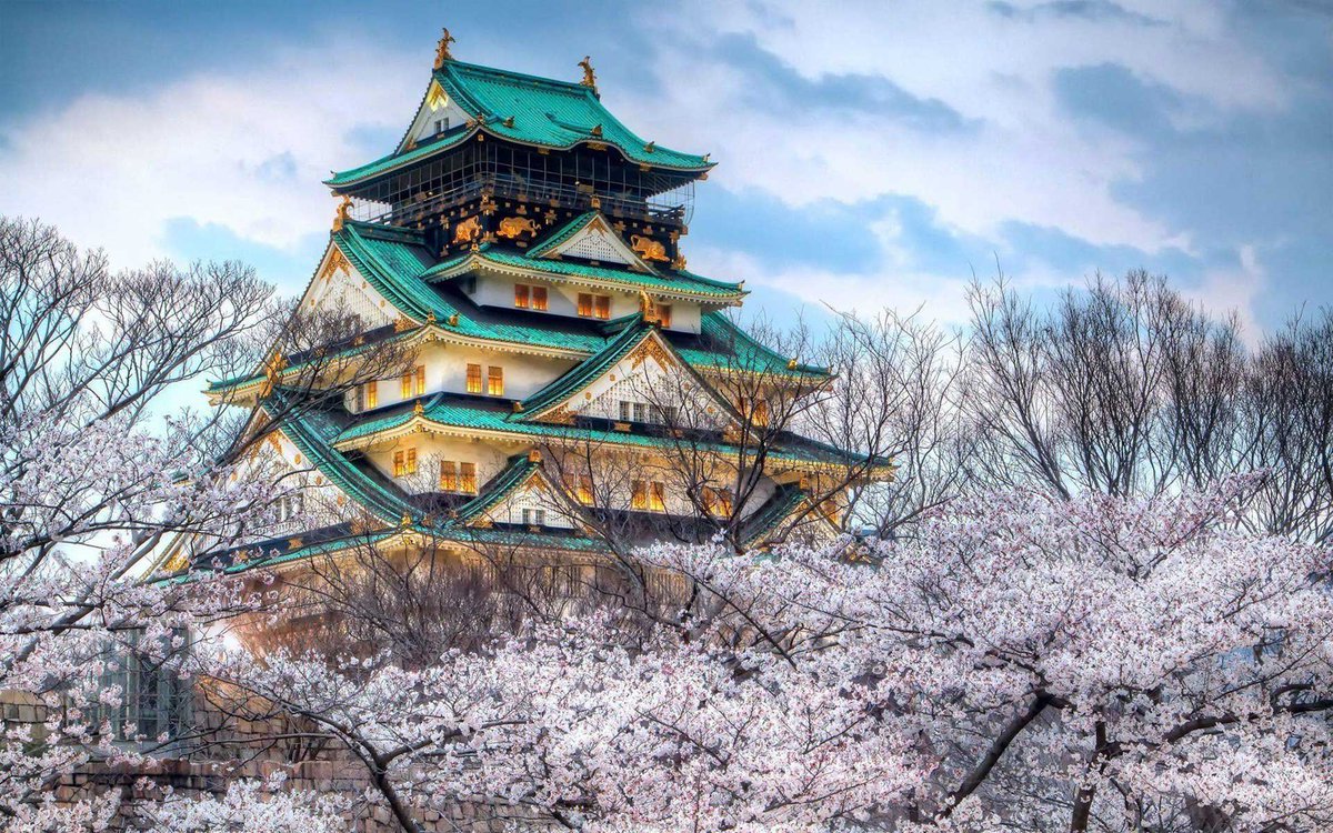 japaxnn's tweet photo. Osaka castle surrounded by cherry blossom is so beautiful 🌸 https://t.co/JJ2pHgBPH2