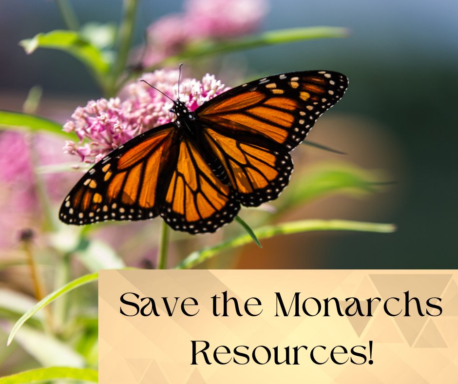 Did you miss Monday's "Save the Butterflies" program? You can still learn about lots of ways to help the Monarch Butterflies and grow your own native milkweed plants with these resources!
ow.ly/vYxb50PNSW5
