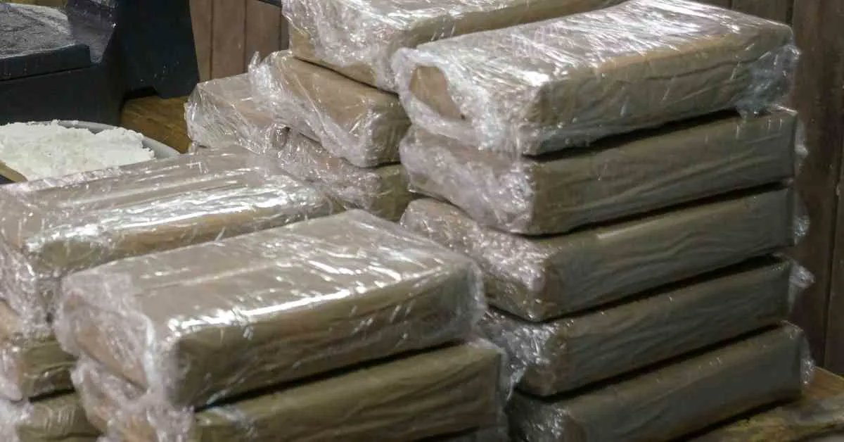 MarineInsight's tweet photo. Brazil’s Navy Seizes 3.6 Tonnes Of Cocaine, The Largest Offshore Drug Capture By Brazil
...Check Out this article 👉https://t.co/ToJI3YwAm0
#BrazilNavy #Cocaine #Shipping #Maritime #MarineInsight #Merchantnavy #Merchantmarine #MerchantnavyShips https://t.co/Nr1H06zvwf