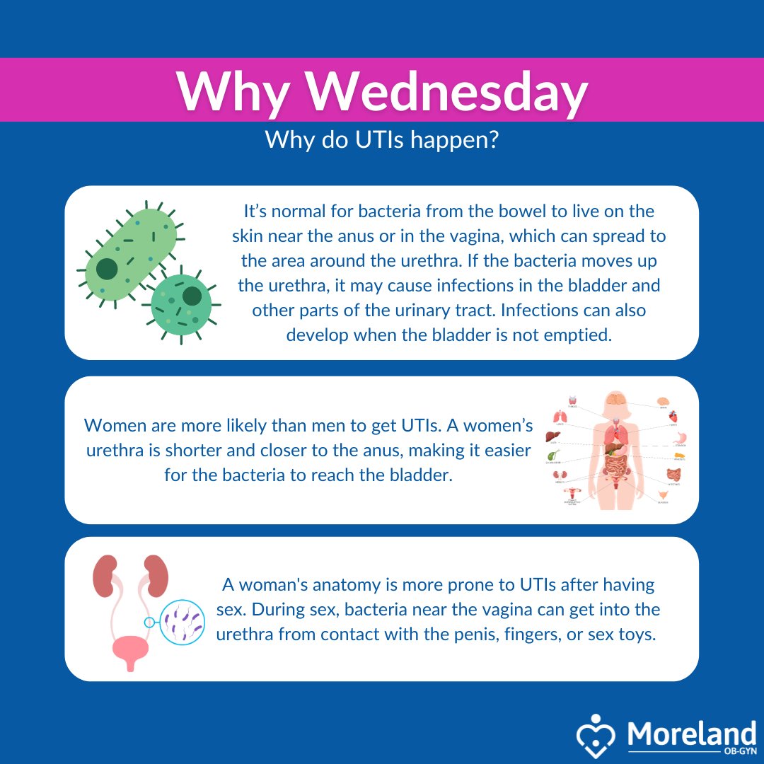 Are you worried about dealing with a UTI? Don't worry, you're not alone! #UTIs are incredibly common and affect many women. #Morelandobgyn #womenshealth #vaginalhealth #UTI #WhyWednesday