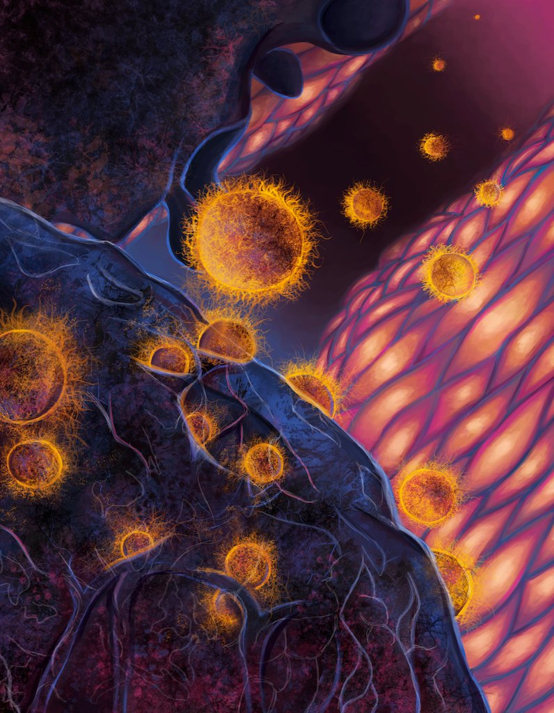 Do you have research that would benefit from a visualization? LA Tech's VISTA program pairs students in their #scientific #visualization program with clients to create #sciart, like this piece by Alaycia Moore. Check out some of their work here: bit.ly/3ZrS3XV #scicomm