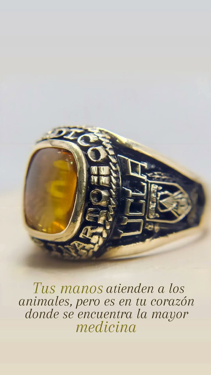 PaolaAnillos's tweet photo. Tus manos atienden a los animales, pero es en tu corazón donde se encuentra la mayor medicina 🎓❤️😍 Ser Veterinario es amar lo que haces, es de grandes curar y cuidar a los seres más nobles de la humanidad 🐶🐱🐮🐷🐻 #AnillosPaola #UCLAve #AnillodeVeterinario #MédicoVeterinario https://t.co/WpbXPLCHFh