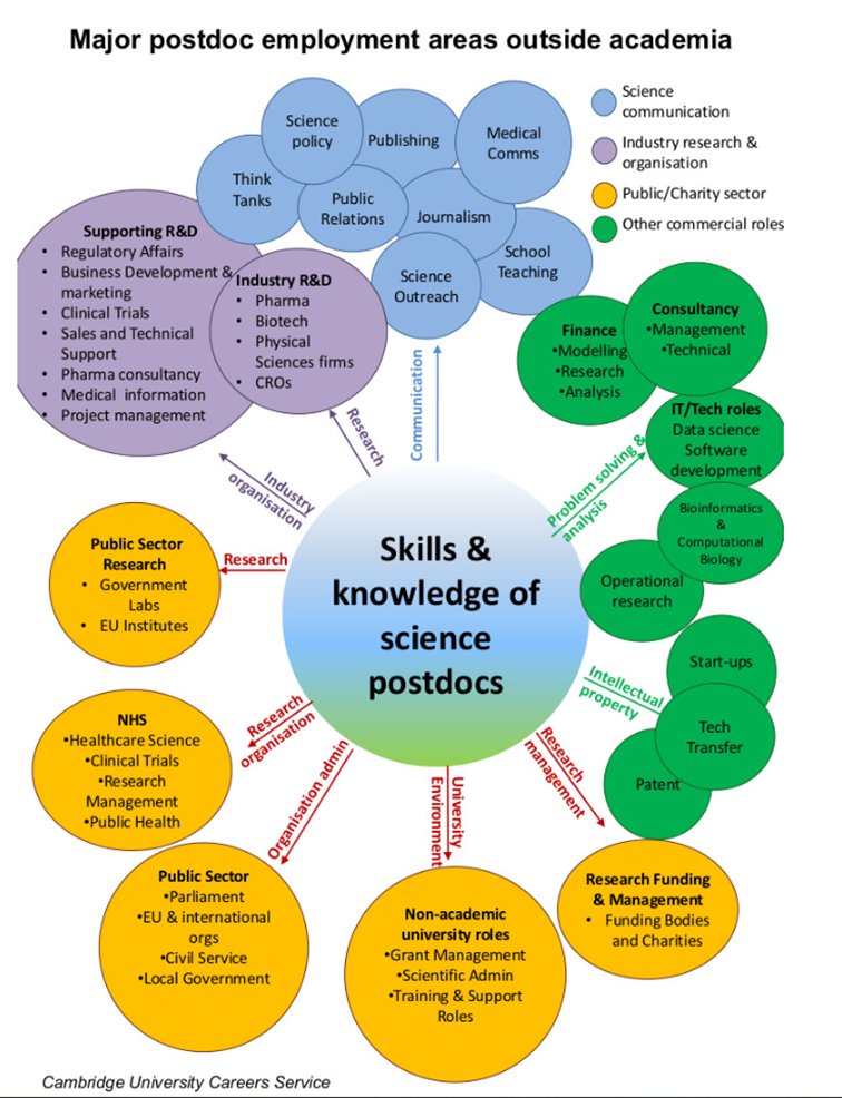 Postdocs: your experiences can take you in such interesting directions! Check out our diagram of possible different sectors here 👇 careers.cam.ac.uk/careers-beyond… #LovePostdocs #NPAW2023