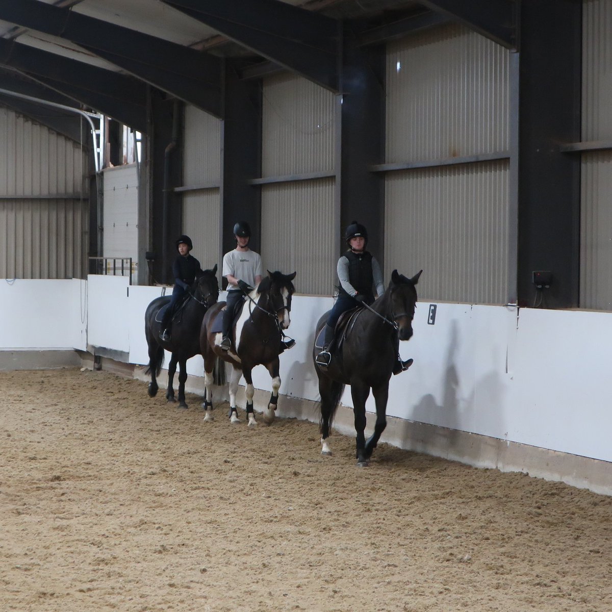 GurteenCollege's tweet photo. Our Level 5 Certificate in Horsemanship/Equitation students have been busy getting to know our horses and develop their riding skills today!

It's not too late to enroll on this course either- though we've only a couple of places left. Learn about this course on our website! https://t.co/0ZYAz3LT1x