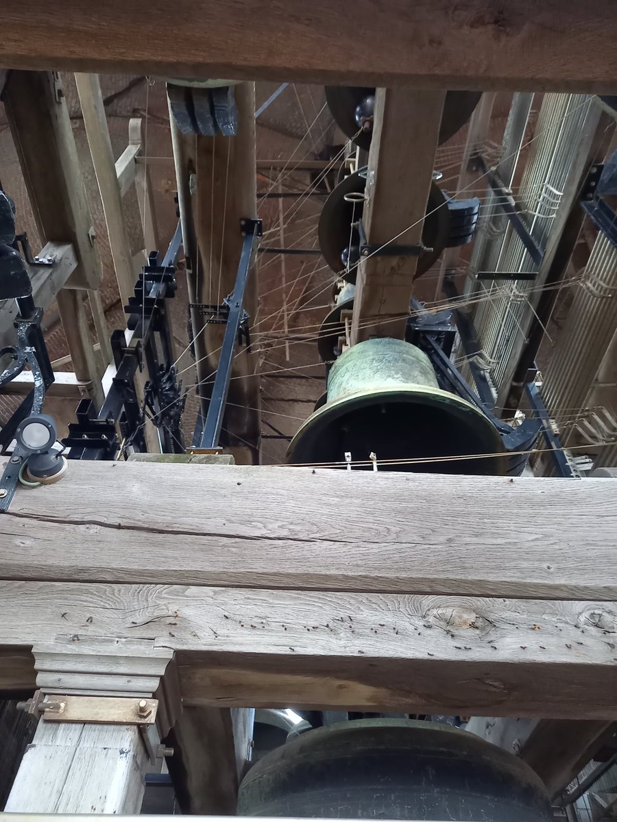 Visite de la ville de Bruges et de son beffroi : 366 marches accompagnées par le carilloneur.