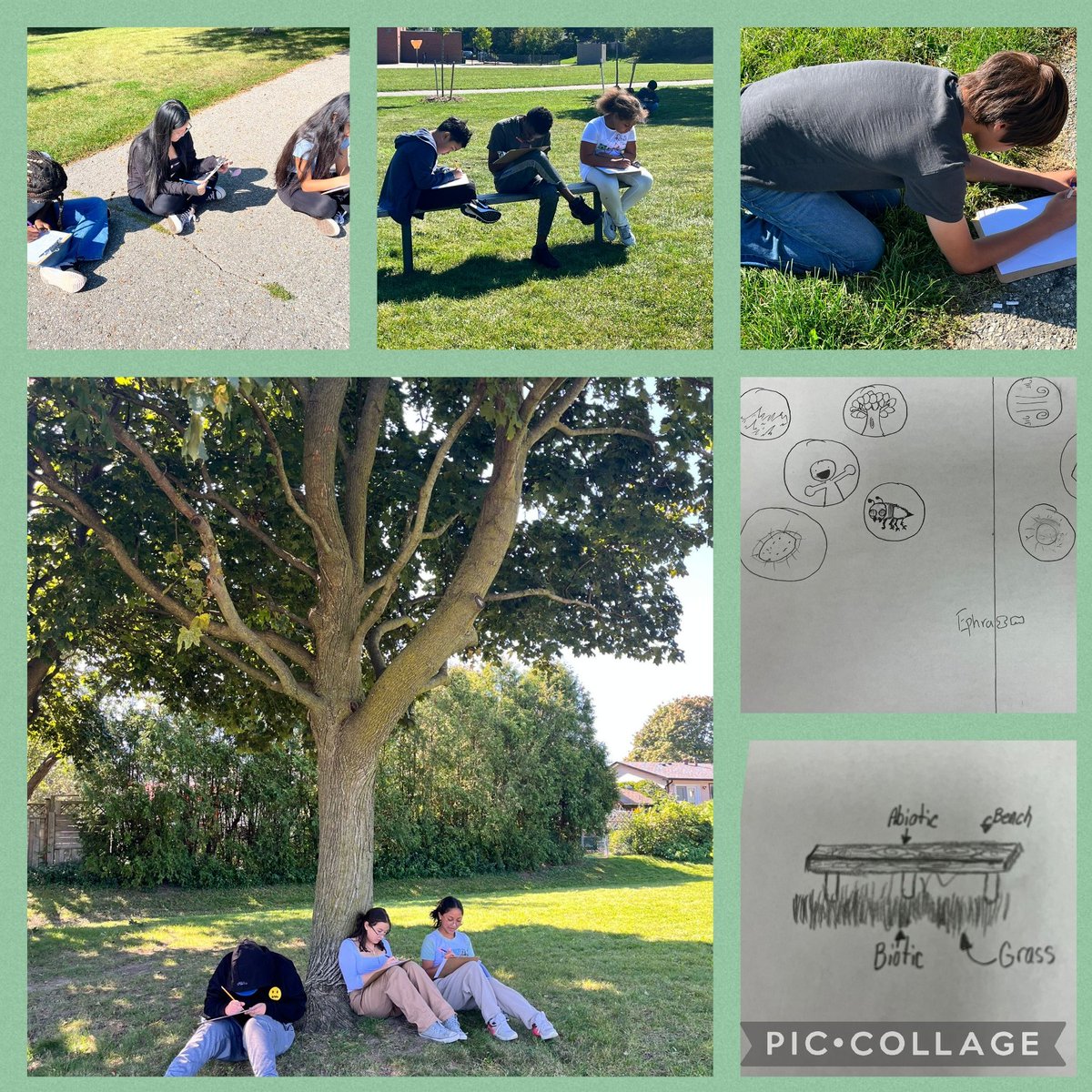 Brennan McDonald tweet media