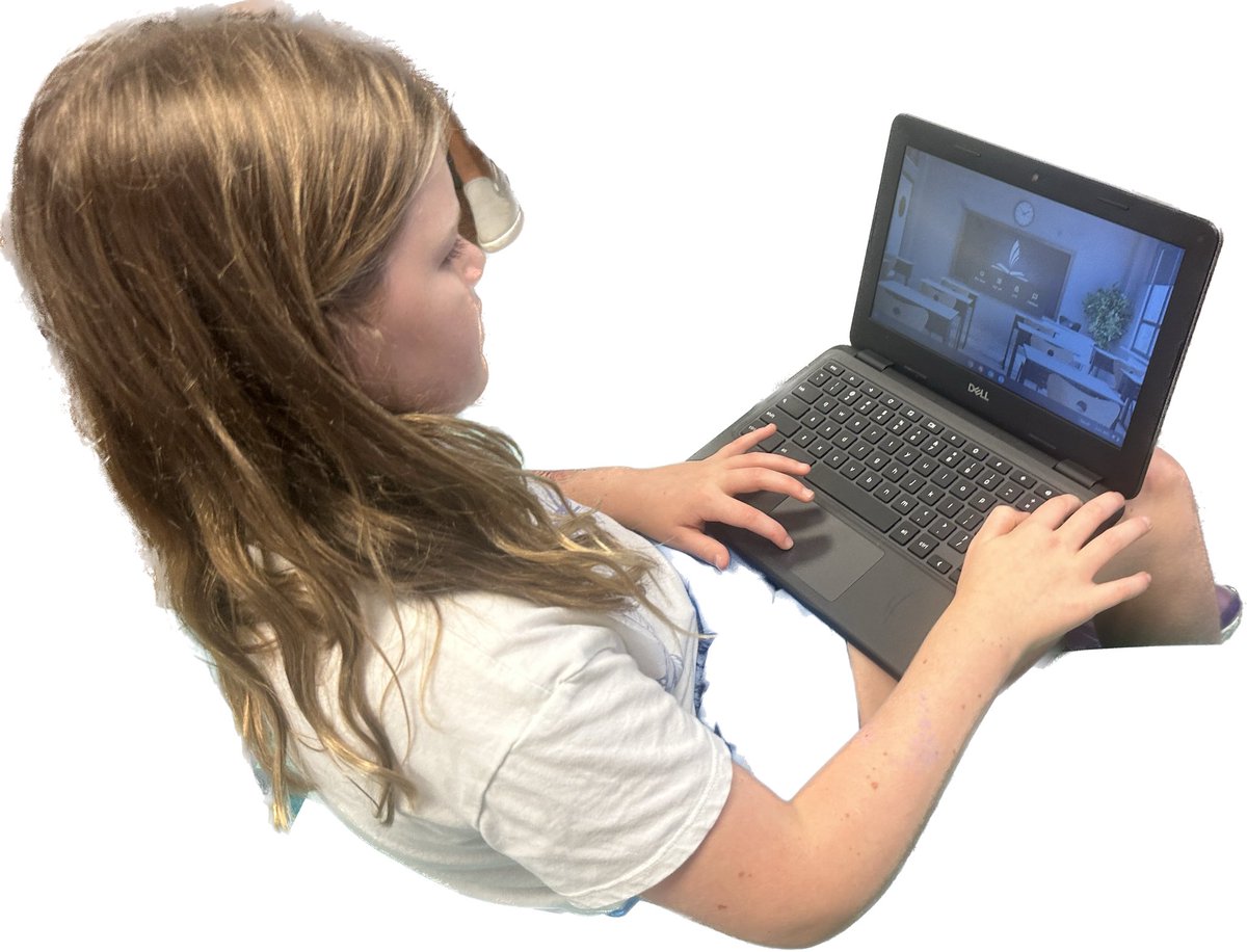 Erin Wallace tweet media