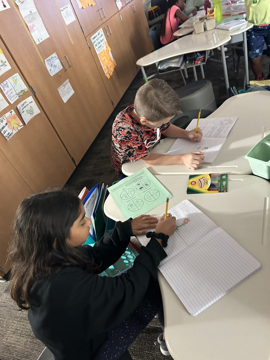 Lindsay Rust, M. Ed. tweet media