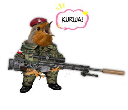 Today's Twitter looks like a giant Ukro-Polish psyop.
Hey, Poles, Is all under control there?

I see a lot of bots desperately trying to spread hate between us. I can't analyze them properly due to the language barrier.

Just...
please do not invade Belarus while I'm sleeping.😌