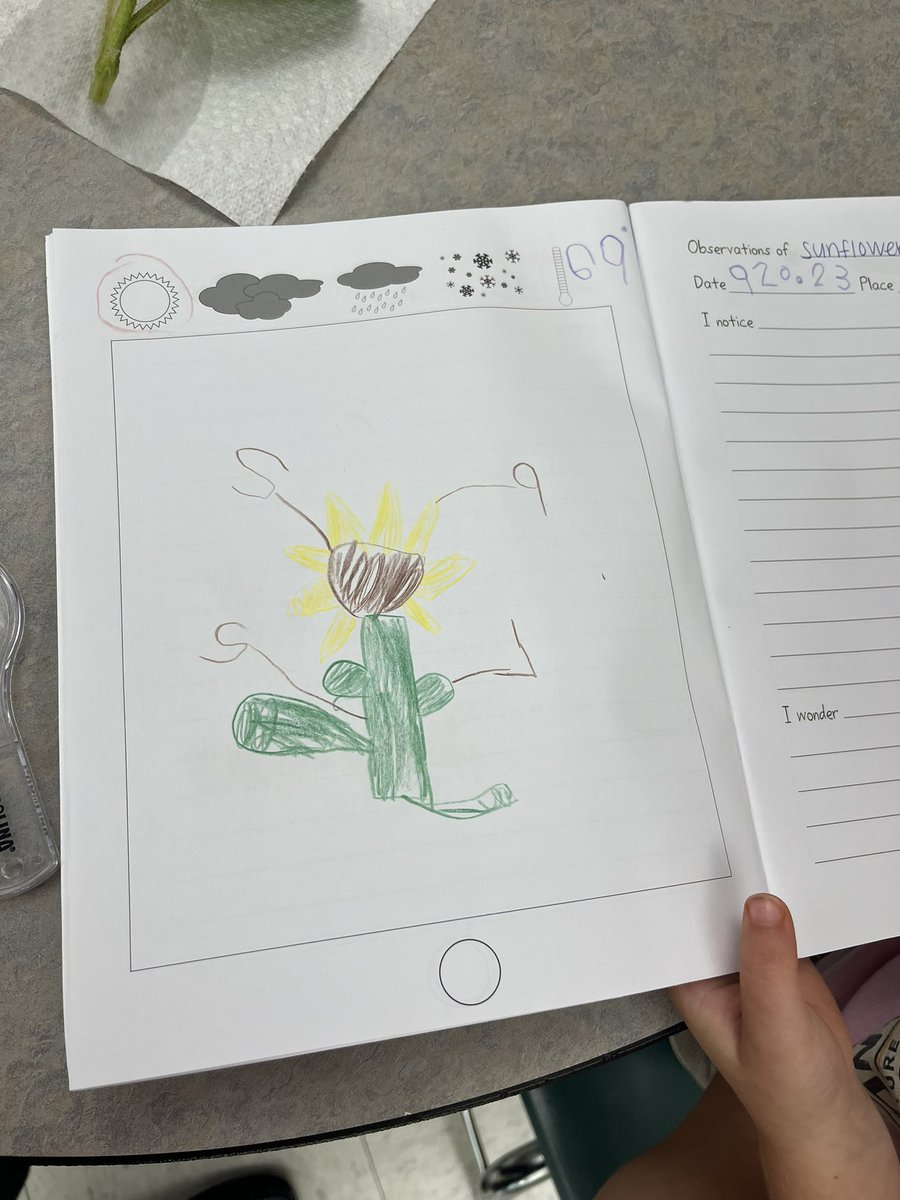 Hey, <a href="/FHLearn/">Firsthand Learning</a>! Check out Kindergarteners using a science notebook for the first time with sunflowers! Tools of a scientist are so important.👏🏻👏🏻